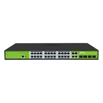 PoE коммутатор Temid PE244S-400-M-G