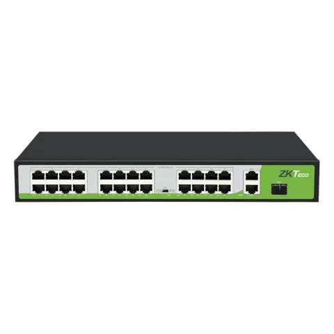 PoE коммутатор Temid PE242-300-C