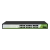 PoE коммутатор Temid PE242-300-G